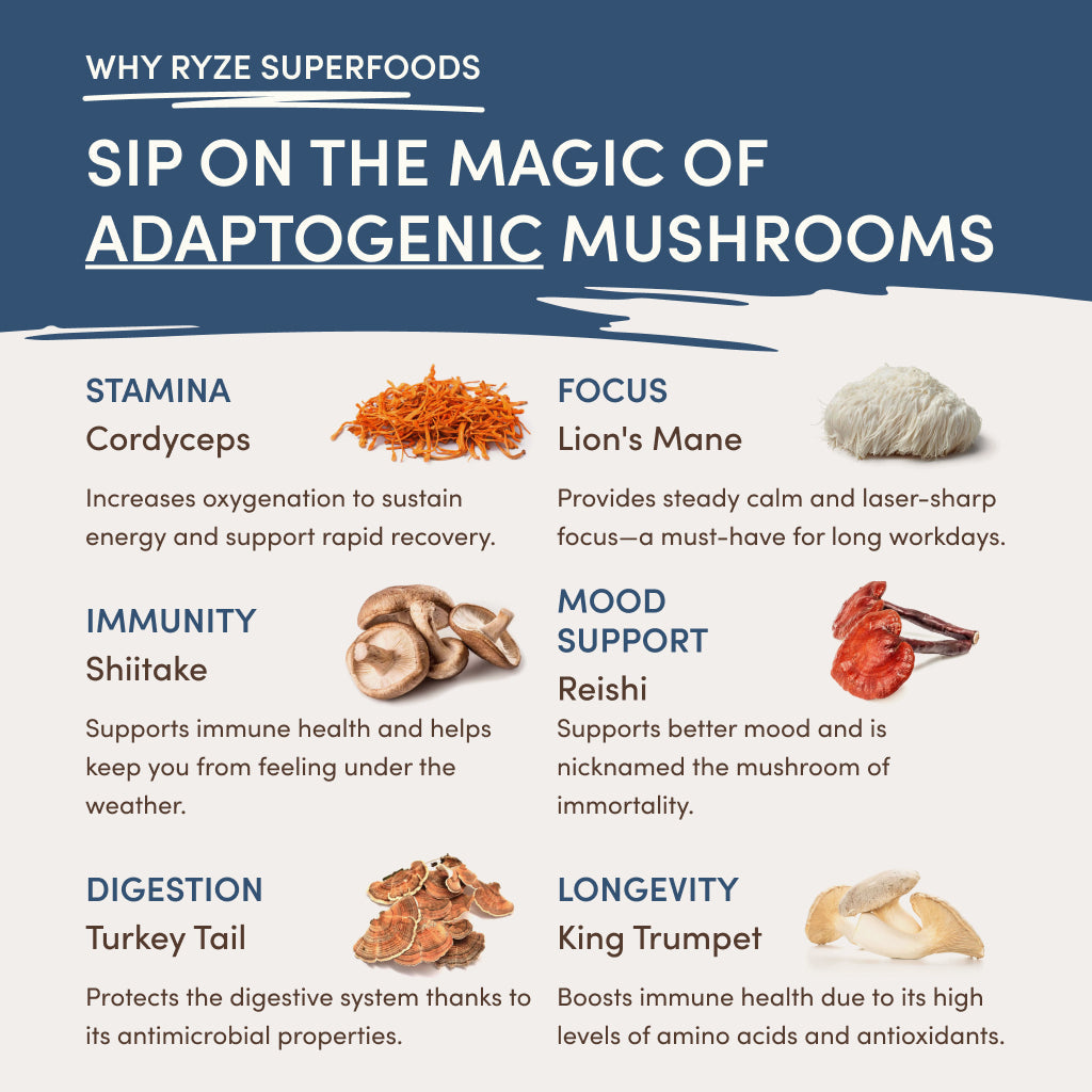 RYZE Nighttime Mushroom Cocoa Starter Bag J1