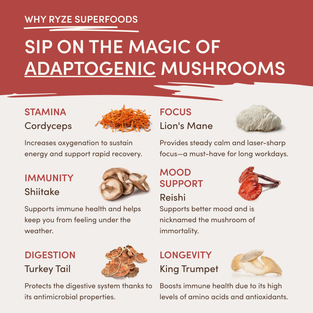 RYZE Mushroom Chai Starter Bag J0