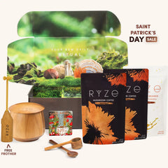 Mushroom Coffee Ritual Set N2