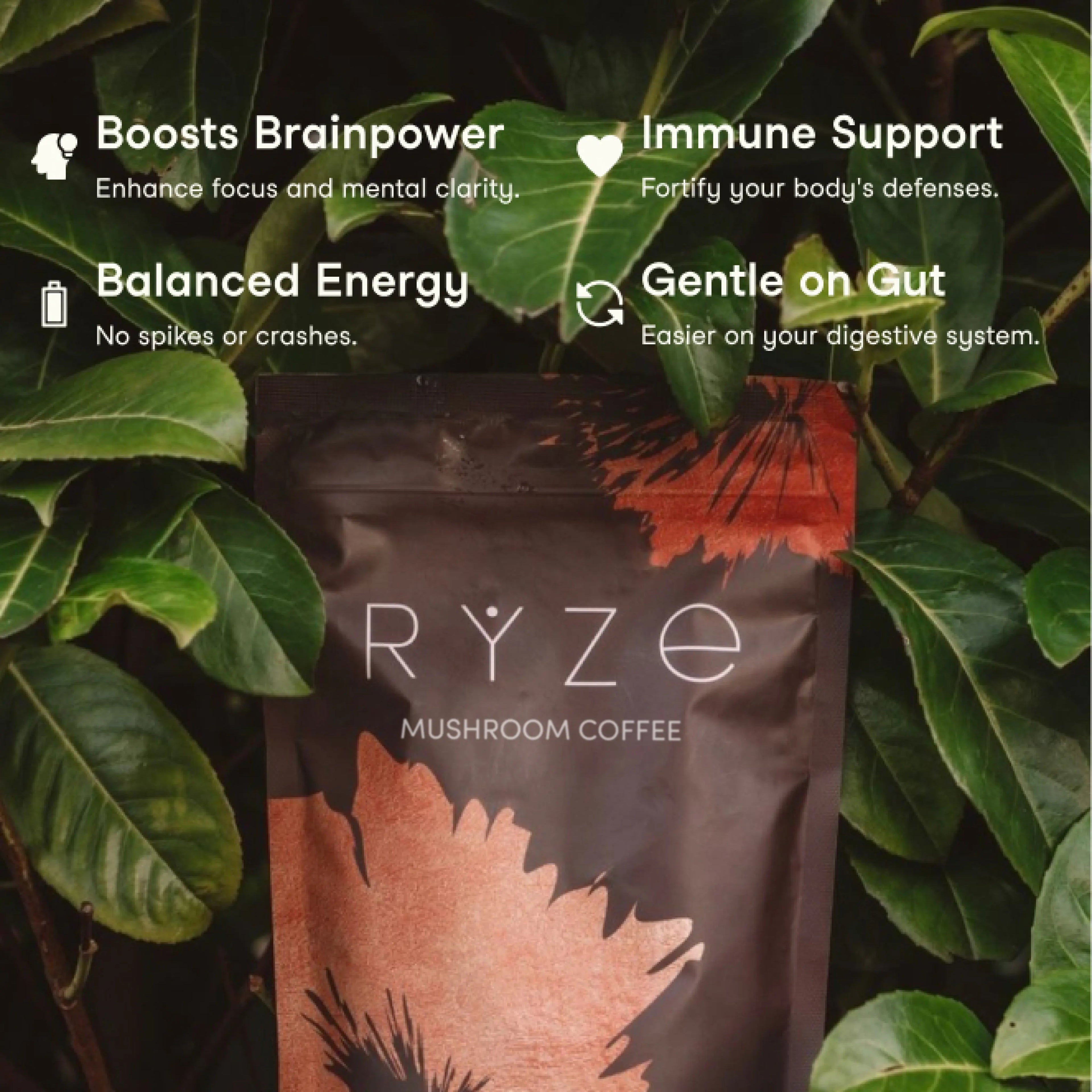RYZE Mushroom Coffee — Organic Instant Coffee with Cordyceps & Reishi, 30 Servings V6