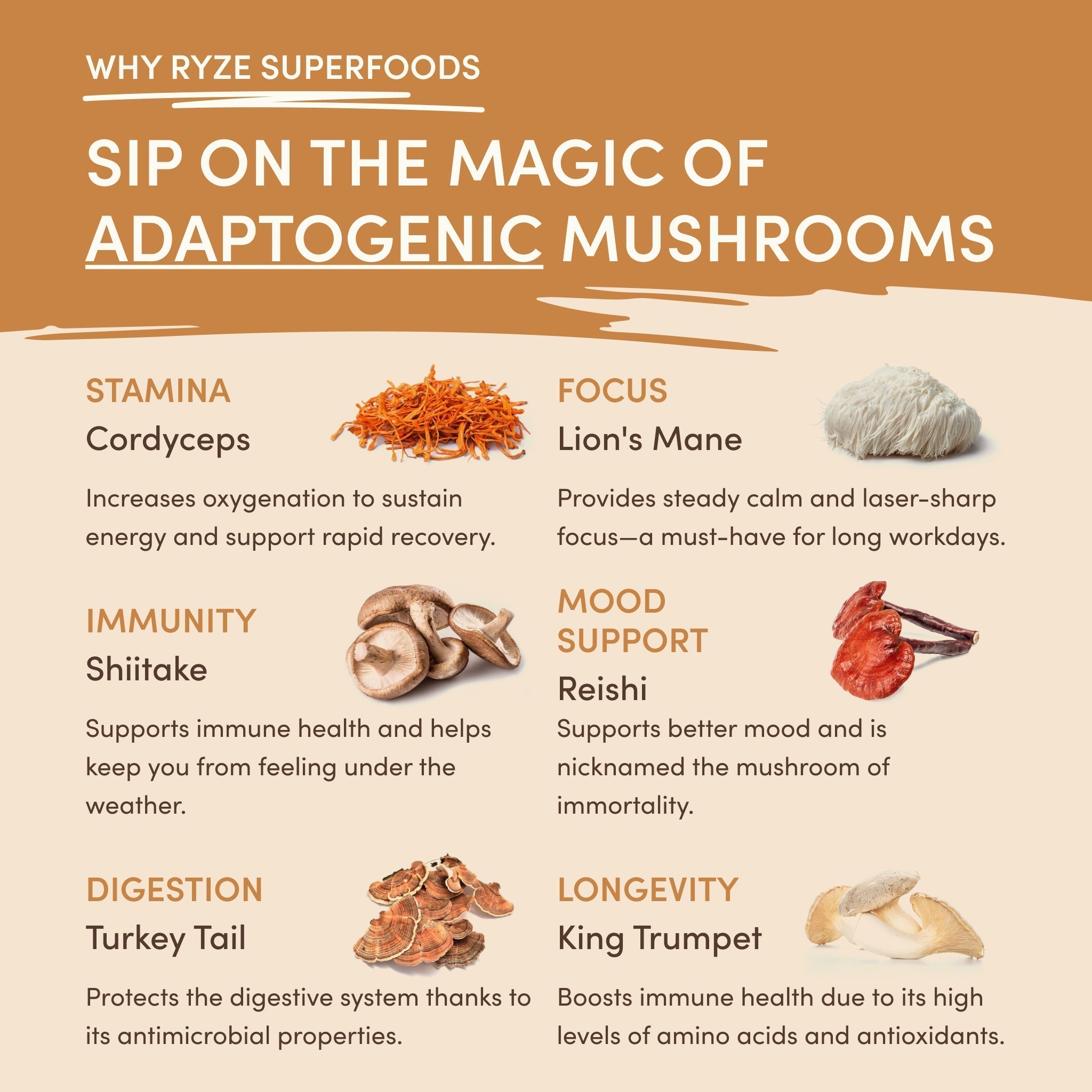 Mushroom Overnight Oats (14 Servings) N7