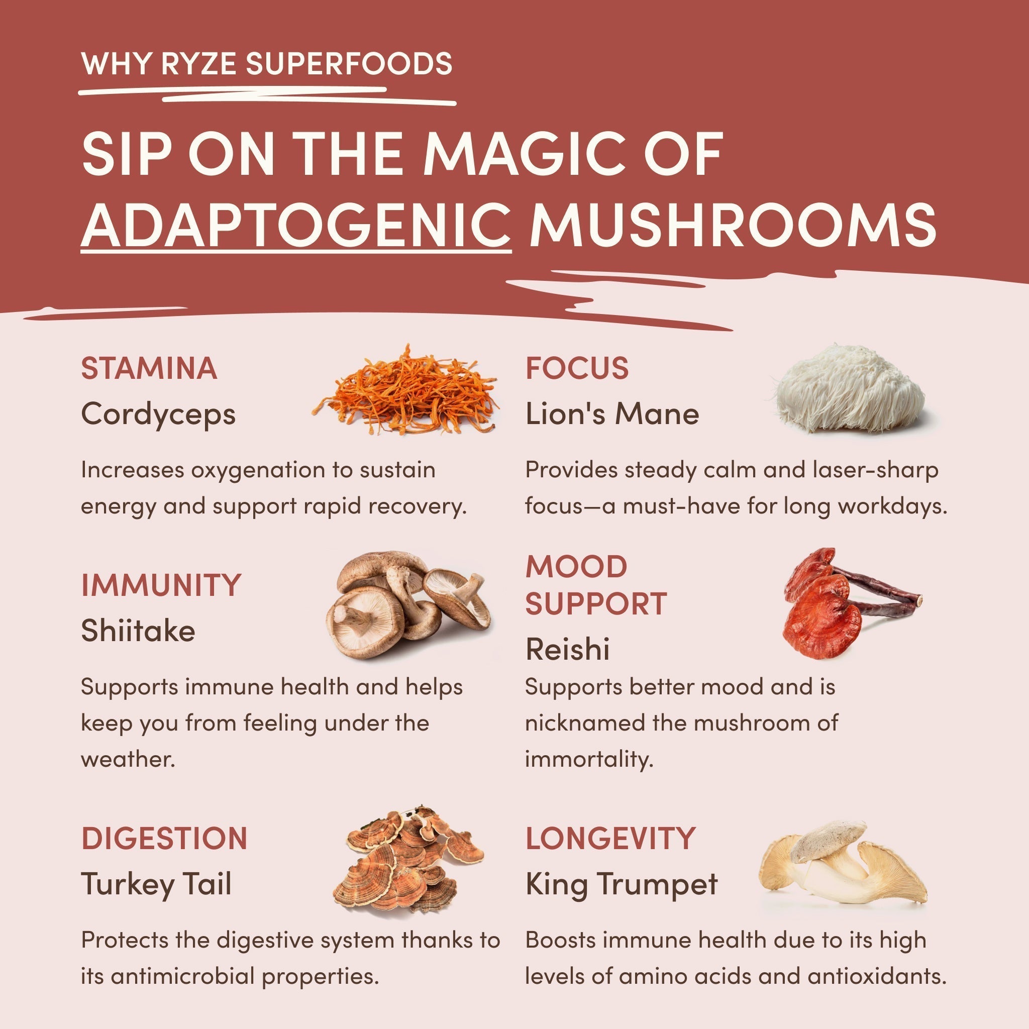 RYZE Mushroom Chicory — Organic Instant Chicory with Shitake & Lions mane, 30 Servings M4