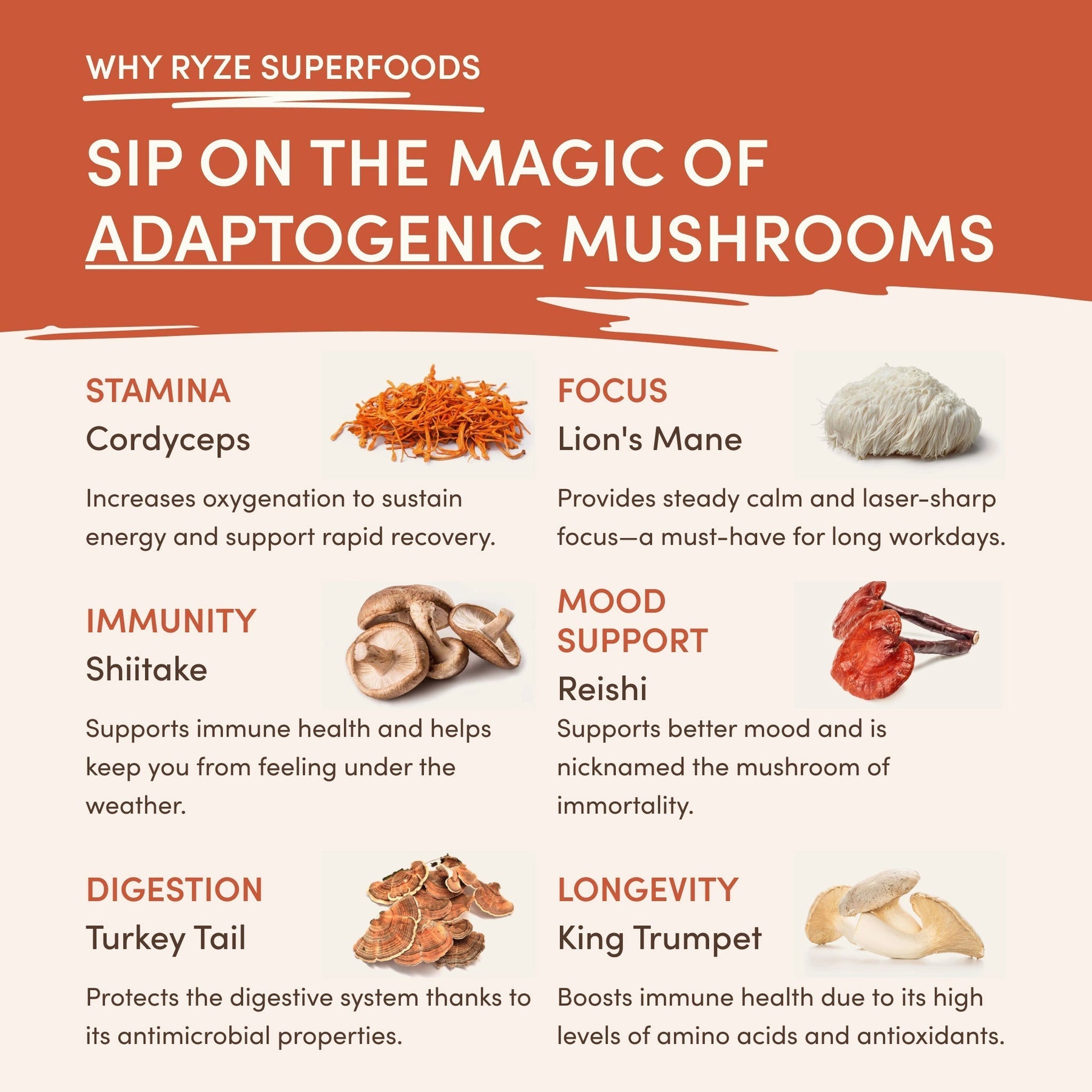 Caramel Creamer 3-Pack K7