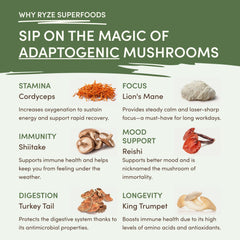 RYZE Mushroom Matcha — Organic Instant Matcha Latte with Lion's Mane & King Trumpet, 30 Servings F1