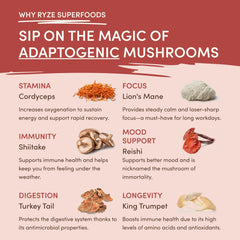 RYZE Mushroom Chai — Organic Instant Chai with Reishi & Organic Black Tea, 20 Servings W8