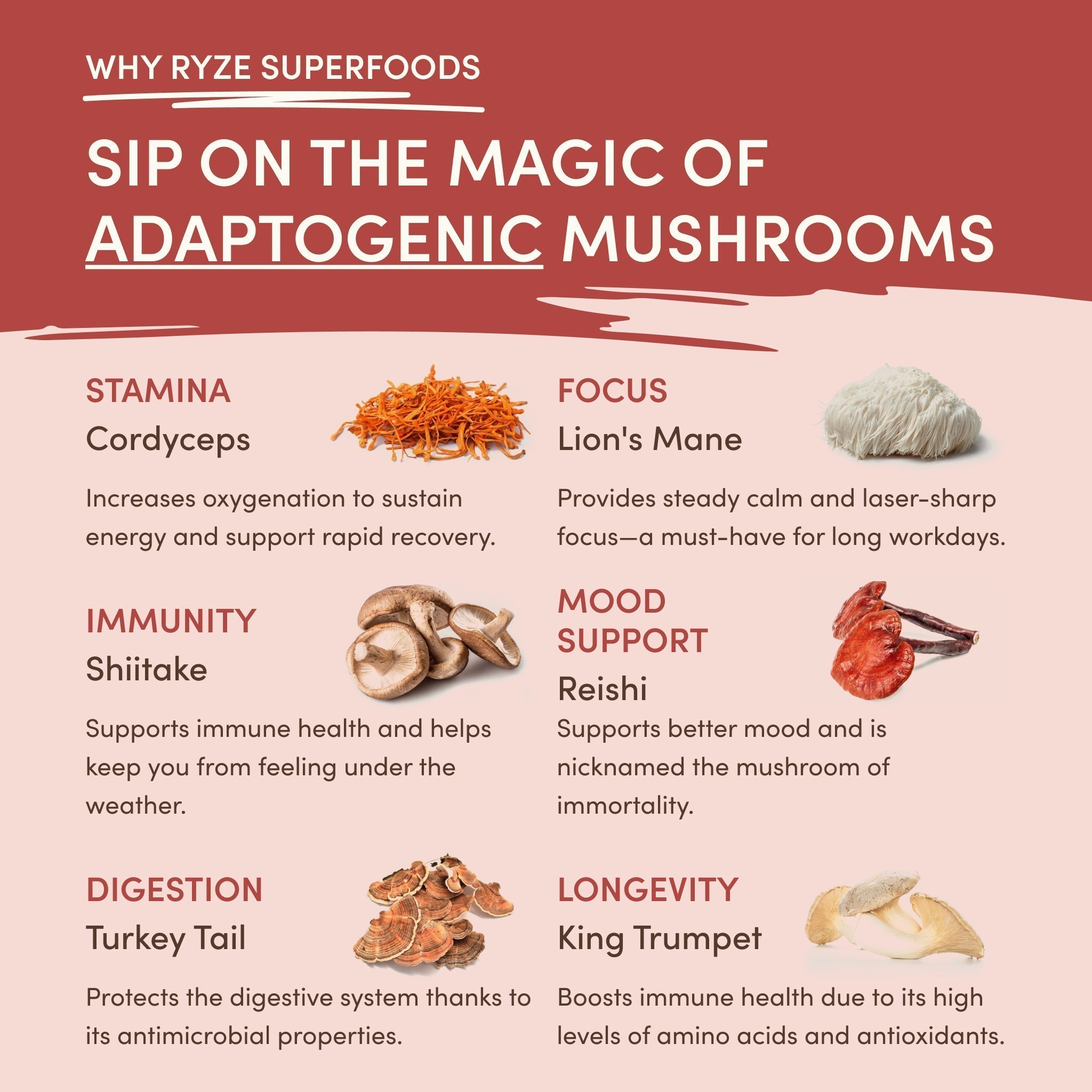 RYZE Mushroom Chai — Organic Instant Chai with Reishi & Organic Black Tea, 20 Servings W8