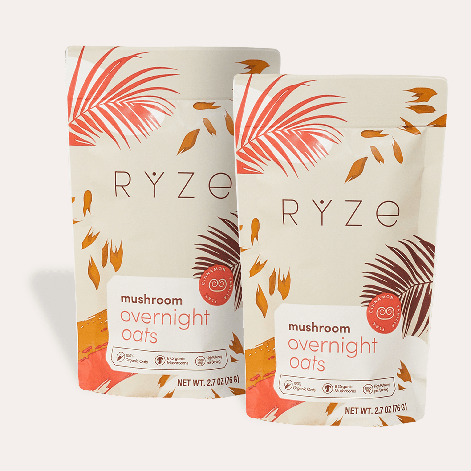 Mushroom Overnight Oats Pack (28 Servings) R3