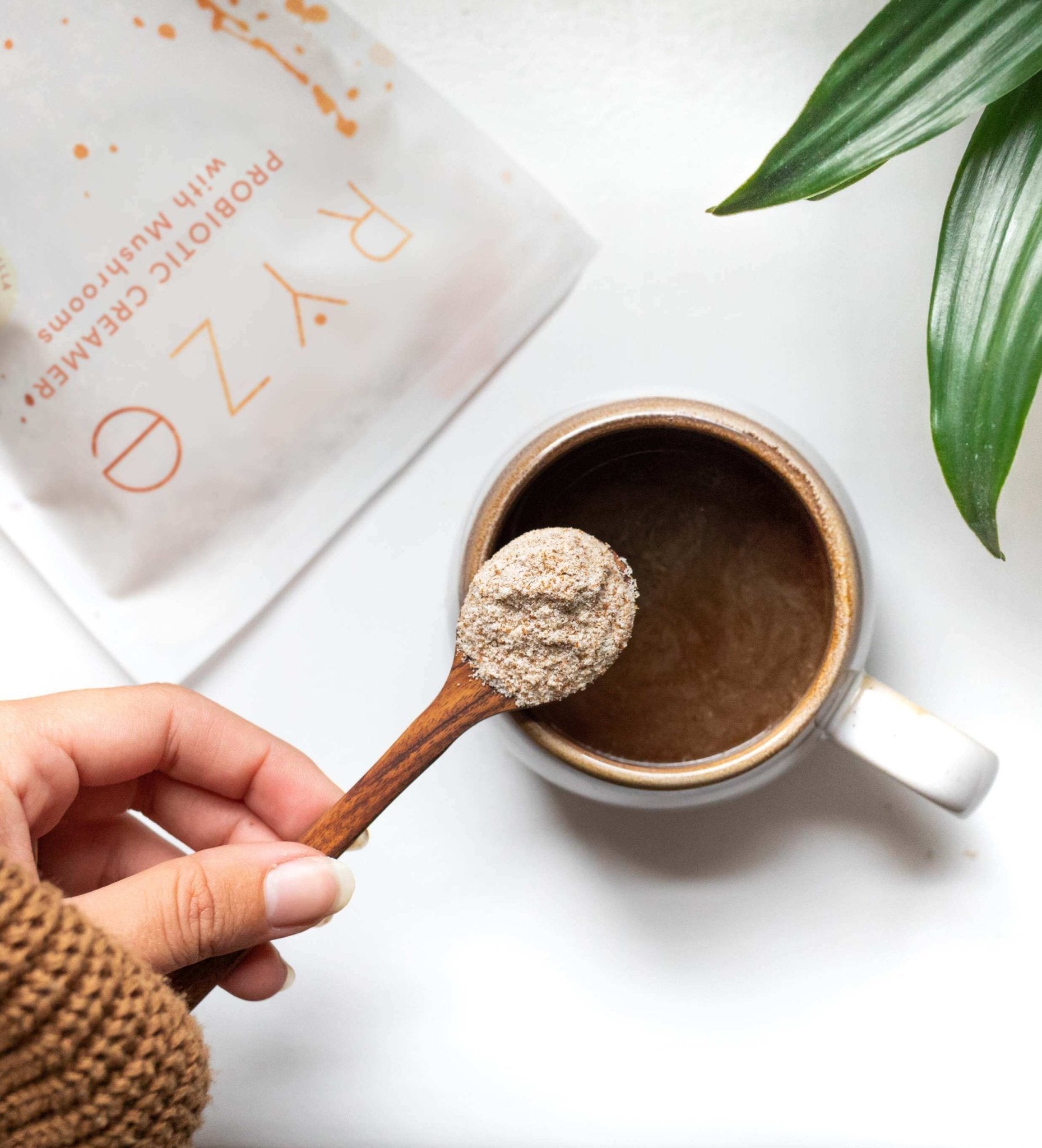 Probiotic Creamer (30 Servings) N9