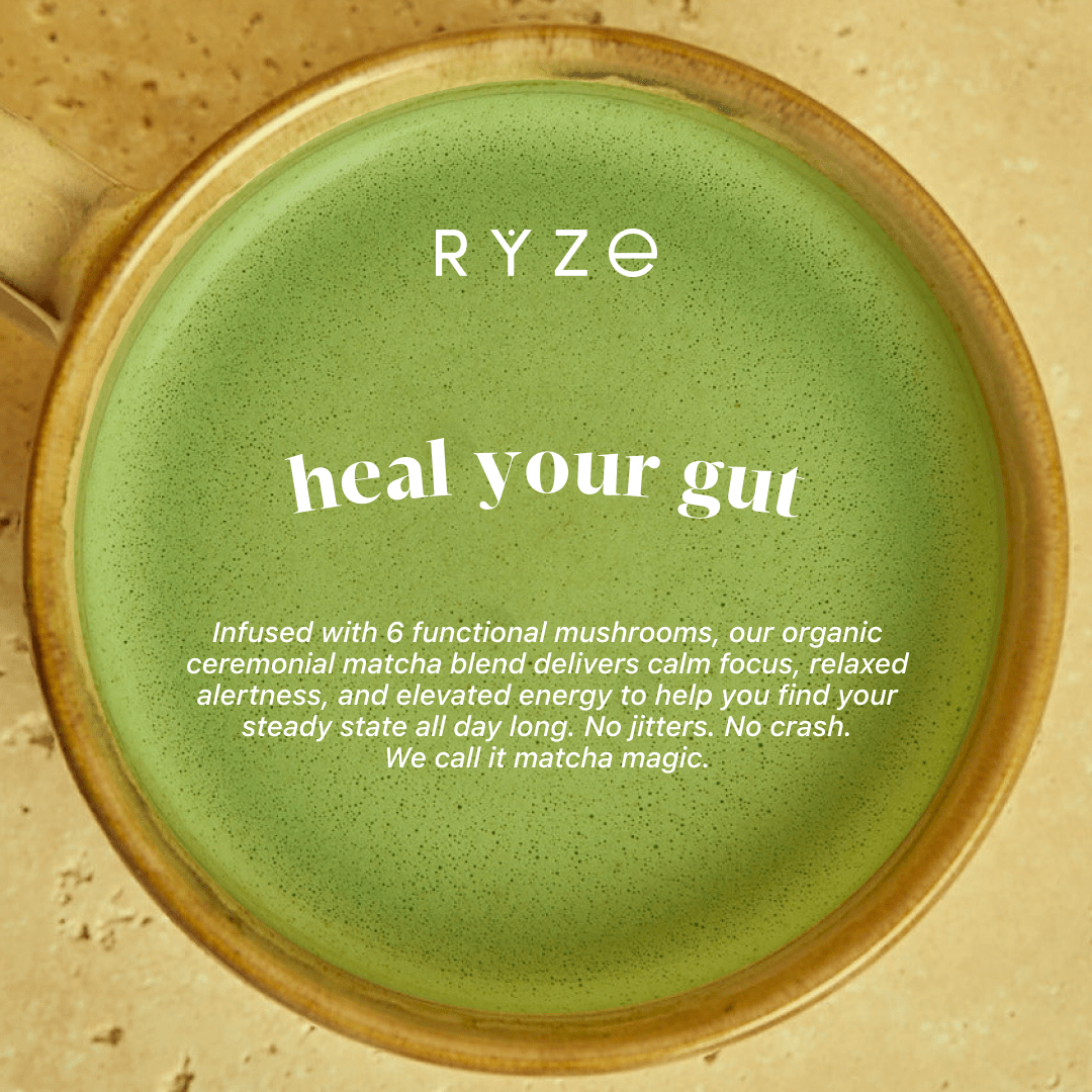 RYZE Organic Mushroom Matcha Starter Kit (60 servings) N3