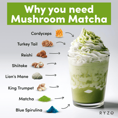 RYZE Organic Mushroom Matcha Starter Kit (60 servings) N3
