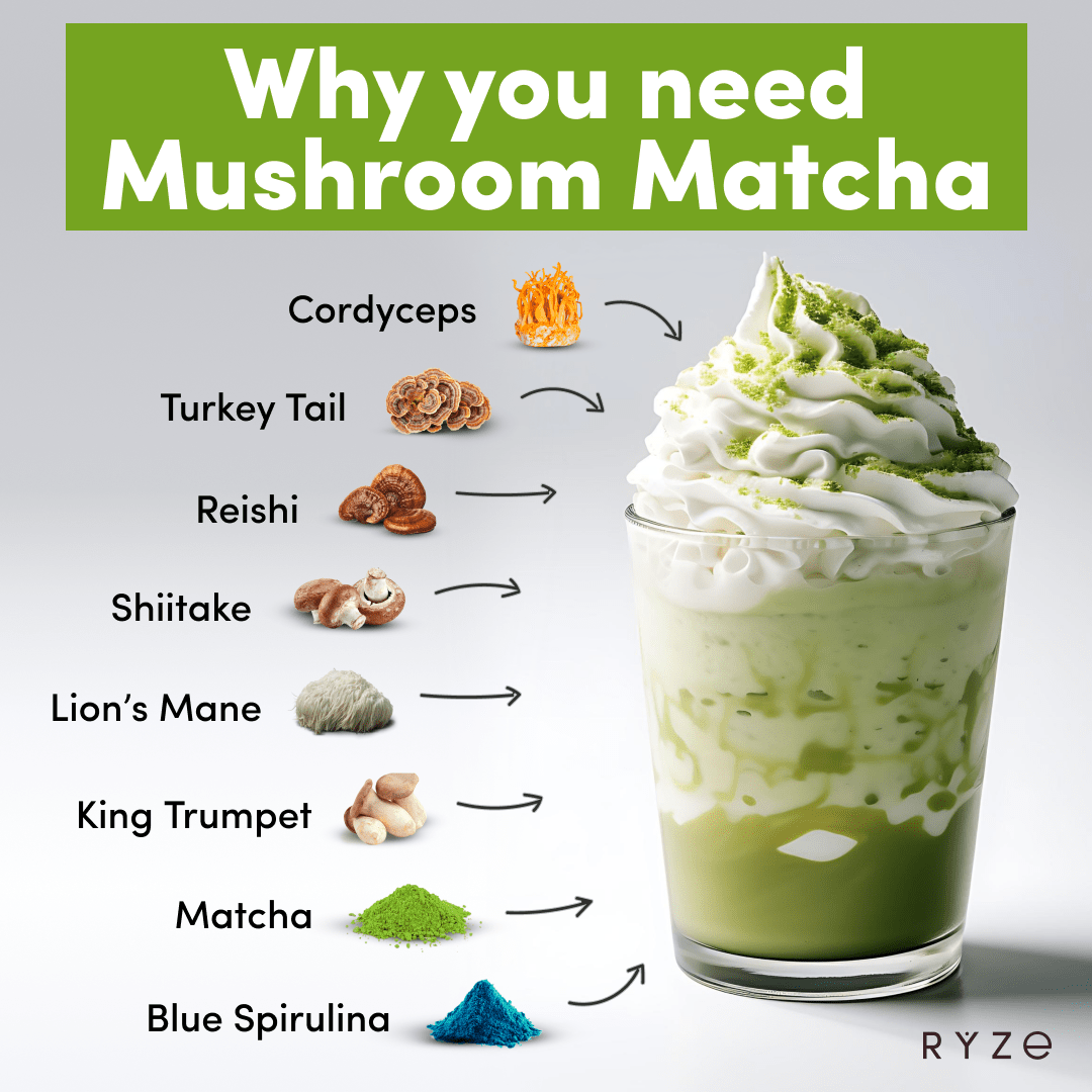 RYZE Organic Mushroom Matcha Starter Kit (60 servings) N3